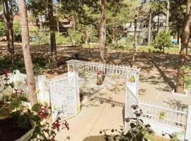 vita homestay Măng Đen