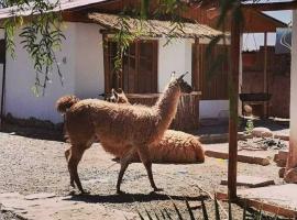 Cabañas Voyage Atacama，位于圣佩德罗·德·阿塔卡马的家庭/亲子酒店