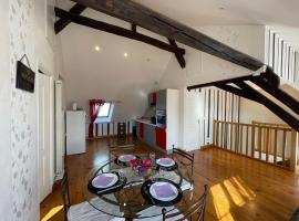 Appart' Privé à Issoudun : Confort et Style，位于伊苏丹的酒店