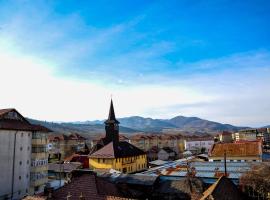 Garsoniera Trotuș Comănești，位于Comăneşti的酒店