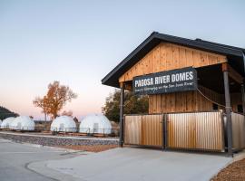 Pagosa River Domes，位于帕戈萨斯普林斯的酒店