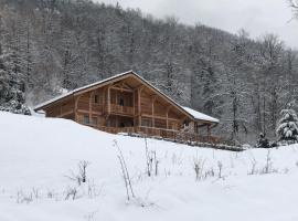 Chalet savoyard d'exception avec piscine chauffée，位于圣莫里斯堡的酒店