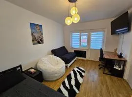 Black & White, Rezerva acum garsoniera cozy, cafea Lavazza, balcon, priveliște spre munte, saltea premium, fotoliu puf