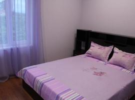 Divniy Sad Guest House，位于苏呼米的酒店