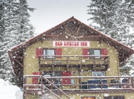 红快门旅馆，位于罗斯兰的酒店