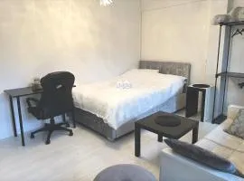 Spacious modern family bedroom in Central London