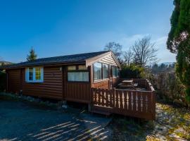 Cosy Log Cabin Snowdonia Eryri，位于特兹西尼德的酒店