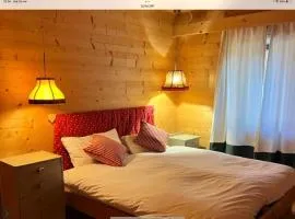 Baita cavalese giardino esclusivo