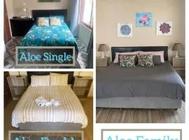 Aloe Guest Rooms