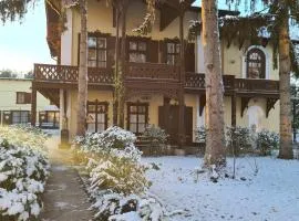 Villa Musik - apartments in historical Villa , Baden