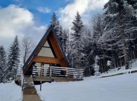 Gorska bajka - Borovica, planinska kuća za odmor i wellness，位于Stara Sušica的木屋