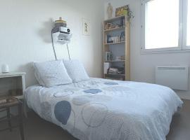 Chambre calme dans un appartement lumineux，位于图卢兹的酒店