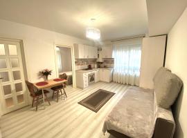 Apartament Sara，位于雅西Alexandru Ioan Cuza University附近的酒店