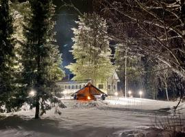 Chalet Mummola，位于Naamijoki的酒店