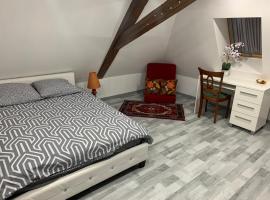 Chambre rustique avec double lit et sa salle de bain privée，位于Urbès的滑雪度假村