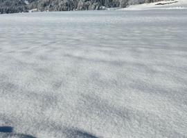 Panorama Appartements，位于埃格的酒店