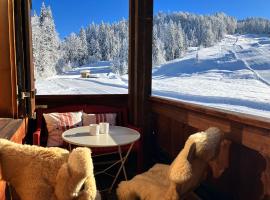 Ferienwohnung Morgentau am Rande der Wildnis，位于Sibratsgfäll的酒店