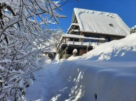 Haus mit Bergblick，位于希格斯多夫的度假屋