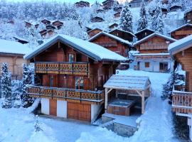 Chalet individuel 8 pers à Chatel Porte du soleil avec Jacuzzi exterieur，位于沙泰勒的酒店