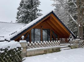 Auszeit im Wald - mit Schwimmbad!，位于Heßles的酒店