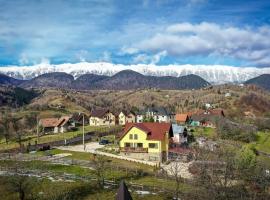 Transylvanian Views，位于佩什泰拉的山林小屋