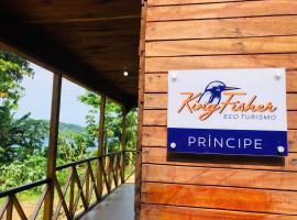 Kingfisher- Principe