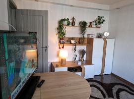 Apartament Medias Metanului，位于梅迪亚什的酒店