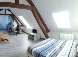 Appartement de Charme，位于Lacroix-Saint-Ouen的公寓