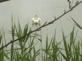 Tamminiemen Lomamökit