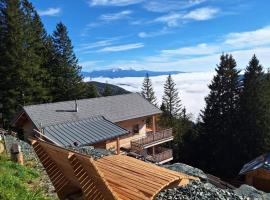 Sonnenblickhütte，位于克利浦托尔泛光灯缆车附近的酒店