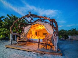 Glamping EcoLodge Cueva De Las Aguilas，位于佩德纳莱斯的度假园