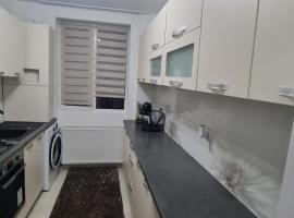 Apartament Violeta，位于古拉哈莫卢洛伊的酒店