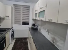 Apartament Violeta