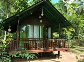 Coconut Tree House