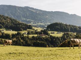 Hotel Gasthof Wälderhof，位于林格瑙的酒店