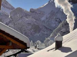 Alpine Chalet，位于坎德施泰格的木屋