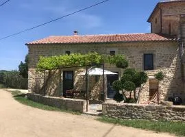 Gîte Les Vignes au Mas Dujau