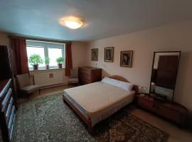 3 pokoje v rodinném domě, sdílená kuchyně s hostitelkou (homestay)，位于Samotíšky的酒店
