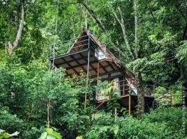 Sunset Valley Kerala Pool Resort - Monsoon Forest Cottage Stay in Idukki with Private Waterfalls, Natural Streams & Breathtaking Views