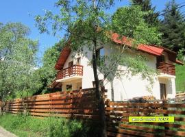 Casa Maia Dambovicioara，位于迪姆波维奇瓦拉的酒店
