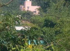 SEEMA LODGE & RESTAURANT，位于Bāghmundi的酒店