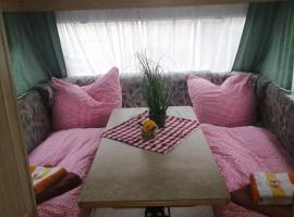 "Campingplatz Altjessen 57"，位于皮尔纳的豪华帐篷营地