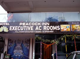 HOTEL PEACOCK INN，位于Gnānapuram的酒店