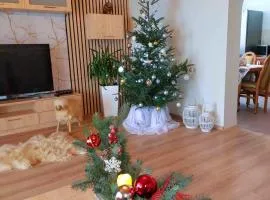 Dom Tatrzański Widok