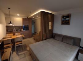 Milmari N80, Kopaonik，位于Raška的酒店