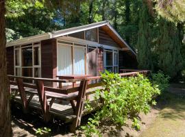 Cabañas Loncotraro，位于普孔的酒店