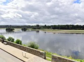 Les sternes de st Mathurin sur Loire , vue Loire