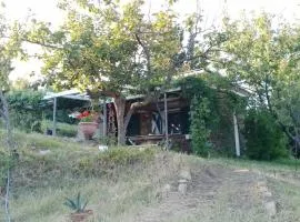 Olive gardens cottage