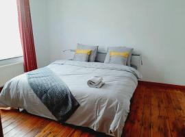 Evere house，位于布鲁塞尔的别墅