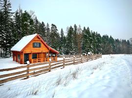 Okno na las，位于波兰尼卡-兹德鲁伊的木屋